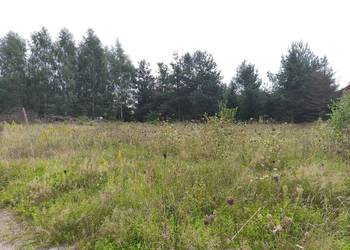 Działka na wsi z miejskimi udogodnieniami