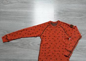 Bluzka Bruse mernio wool wełna merynosa merynos