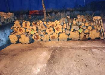 Drewno kominkowe kontakt 535197837