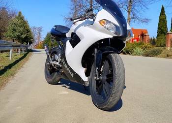Yamaha Tzr 50/88
