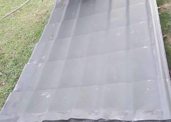 Blachodachòwka zielona