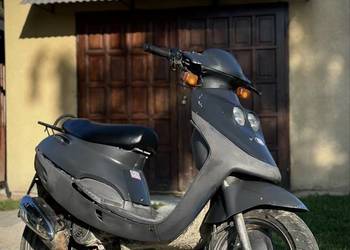 skuter adly cat 80cc 2t
