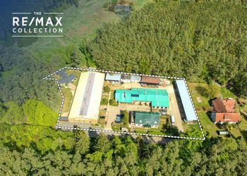 Doskonała okazja dla koniarzy i nie tylko!