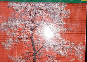 Geografia matura Podręcznik operon kolekcjonerskie książki