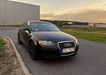 Audi A3 8P 2006 1,6 benzyna