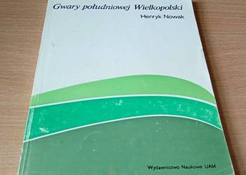 Gwary południowej Wielkopolski / Henryk Nowak