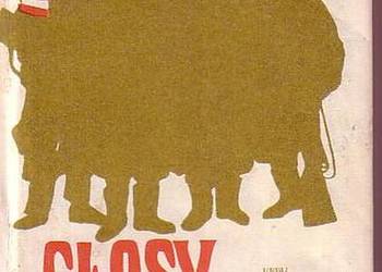 (0676) GŁOSY Z DALEKA – WOJCIECH SULEWSKI