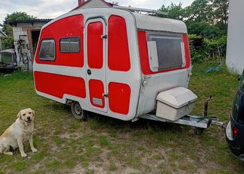 Sprzedam Niewiadów n132. Wieloryb zarejestrowany, ubezpieczony