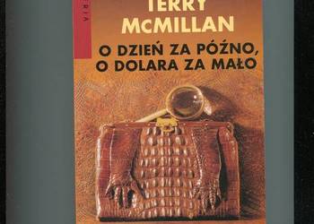 O dzień za późno o dolara za mało - Terry McMillian