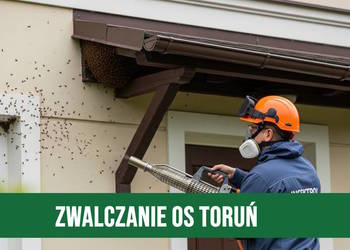 Zwalczanie Os Toruń – Usuwanie Gniazd