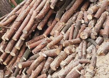 SUCHE DREWNO SOSONOWE Z POSUSZU