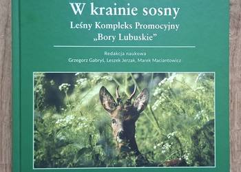 W krainie sosny - Leśny Kompleks Promocyjny "Bory Lubuskie"