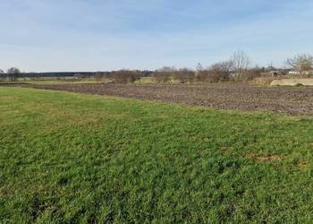 Działki rolne klasy IV,V - Biskupice, gm. Grodziec