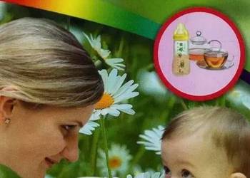 Ziołolecznictwo dla dzieci - Lamer-Zarawska Eliza Ziołolecznictwo dla dzieci - Lamer-Zarawska Eliza