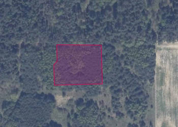 Działka 86/13 w Granicznej Wsi