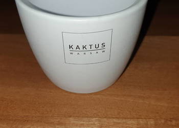 Osłonka, doniczka ceramiczna z kaktus Warsaw