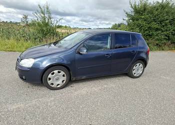 Volkswagen Golf V 1.9 tdi 2006 5 drzwi