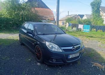 Opel Signum 1.9 CDTI 150km