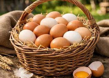 Prawdziwe jajka swojskie