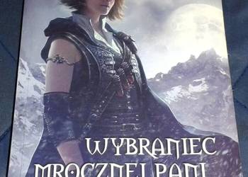 Wybraniec Mrocznej Pani - Gail Z. Martin