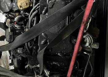 Silnik RENAULT M9R 742