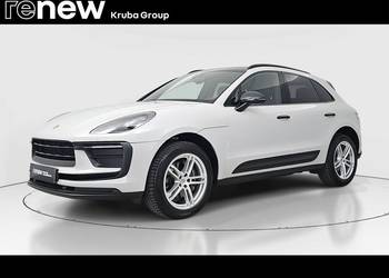 Macan