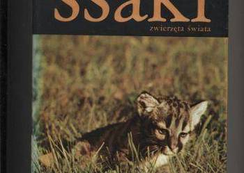 Ssaki  Zwierzęta świata