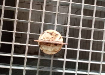 Korek wlewu Fiat 125p FSO