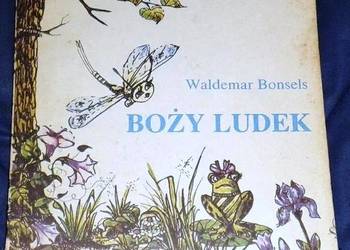 Boży ludek - Waldemar Bonsels