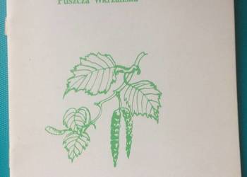 ( 3481 ) Ścieżka Przyrodnicza W Lasku Arkońskim Szczecin ( 3481 ) Ścieżka Przyrodnicza W Lasku Arkońskim Szczecin