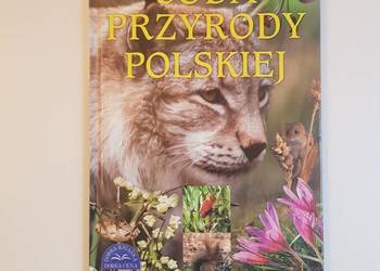 Cuda przyrody polskiej
