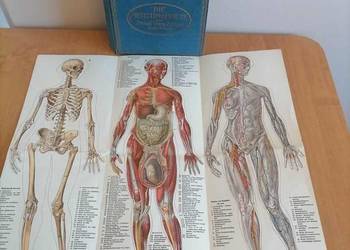 Stara Książka Domowa Lekarka 1921