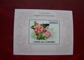 Komory 2010 MNH Flora Kwiaty