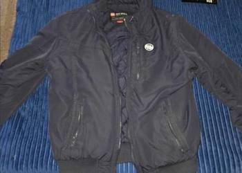 Kurtka pitbull zimowa