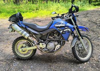 Yamaha XT660R [gmole | kufer | Leo Vince | OC | PT]