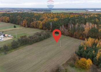 Działka pod lasem Załuski