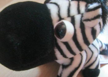 Maskotka Zebra