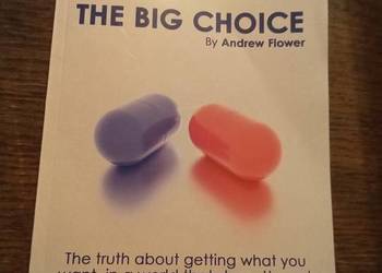 The big choice the truth about getting what you want. Po angielsku!