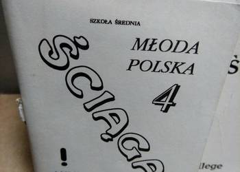 Mini ściąga młoda Polska Greg