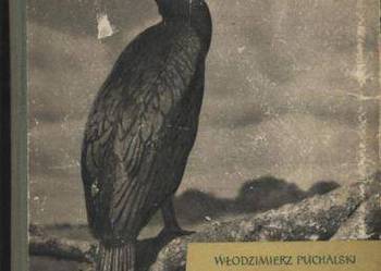 Wyspa Kormoranów - Puchalski