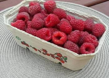 Maliny sprzedam 17 zł/kg