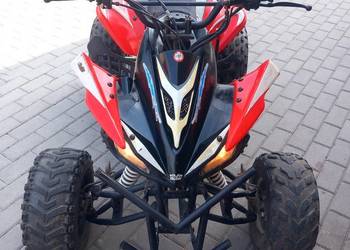 Quad 110 Zamiana