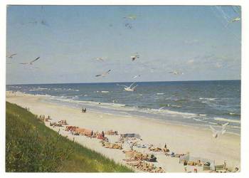 POGORZELICA KAPIELISKO MORSKIE PLAŻA POGORZELICA KAPIELISKO MORSKIE PLAŻA