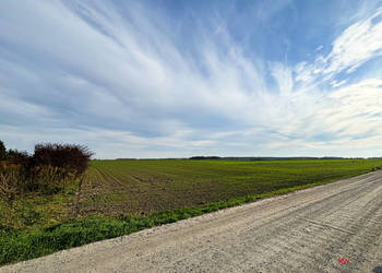 Oferta sprzedaży gruntu Czołowo 2980m2