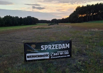 DZIAŁKA INWESTYCYJNA 2,22 HA KĘPINA