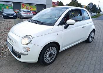 Piękna 500 full opcja