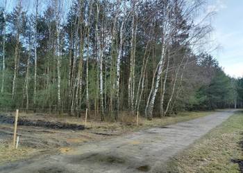 DZIAŁKA BUDOWLANA 980 M2, DĘBNICA ,PRZYGODZICE,OSTRÓW WIELKOPOLSKI