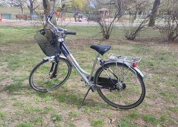 Rower miejski Sparta Pallas