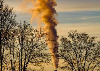 Raport, Kobize, Tczew, Bełchatów, Świdnica, Będzin, Zgierz, Piekary Śląskie