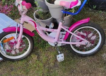 Rower husar Maja 16"